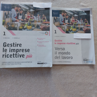 Gestire le imprese ricettive più 1 COME NUOVO