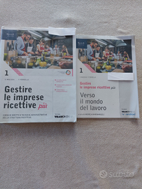 Gestire le imprese ricettive più 1 COME NUOVO
