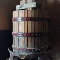 Torchio a leva 55 per uva