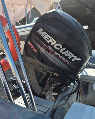 mercury 40 70 pro tagliandato del 2016