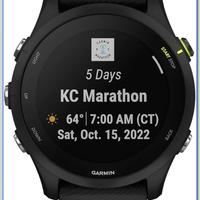 Garmin forerunner 255 music piu accessori