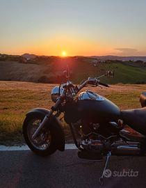 Dragstar 1100
