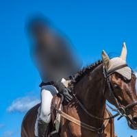 P.S.I. Baia femmina - 9 anni - 1,75 m al garrese