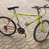 bicicletta per ragazzi