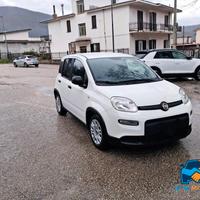 Fiat Panda 1.0 firefly hybrid Sport s&s 70cv 5p.ti