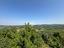 Immagine 12