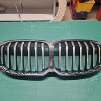 Griglia Anteriore BMW Serie 1 F40