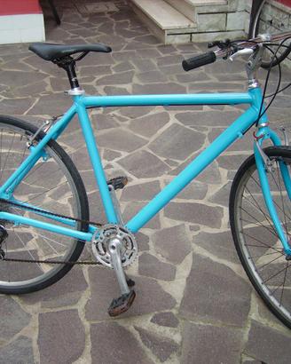 bicicletta uomo azzurra