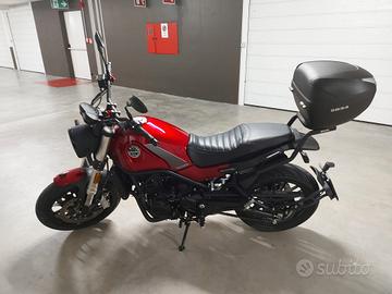 Benelli Leoncino 500