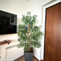 Bambu’ artificiale