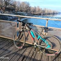 mtb Giant in carbonio