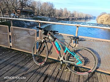 mtb Giant in carbonio