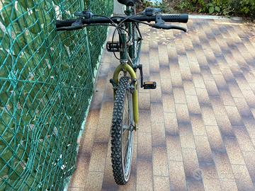 Bici spt