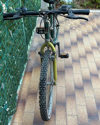 Bici spt