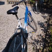 Bicicletta da donna 