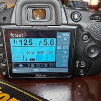 Nikon D3200 + AF-S Nikkor 18-105 ED VR