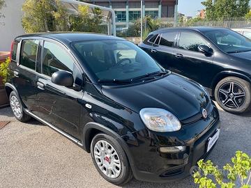 Fiat Panda 1.0 FireFly S&S Hybrid City Life Km 190