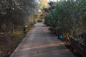 Terreno agricolo con magazzino agricolo
