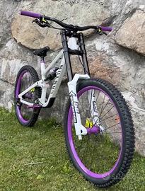 BMX E MTB CUSTOM