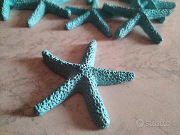 stelle marine azzurre