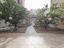 Immagine 12