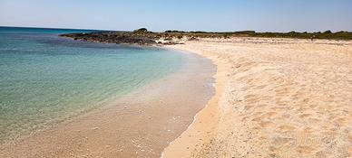 Settembre, spiaggetta 2, punta prosciutto