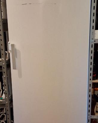 Congelatore armadio AEG Electrolux Arctis