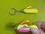 Immagine 1