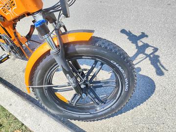 bicicletta elettrica Edwige 