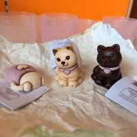 Gattino nero e bianco, coccinella thun bauli