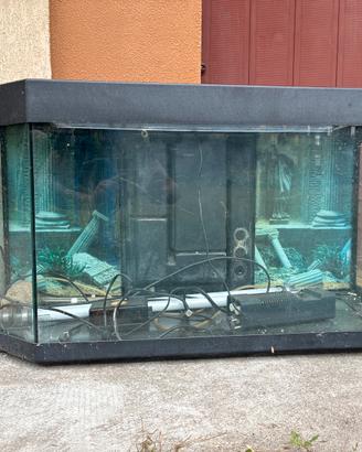 Acquario