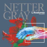 Netter Gray. L'anatomia: 3 volumi completo