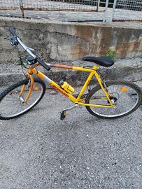 Bicicletta mountain bike Stargate Legnano