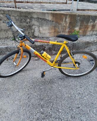 Bicicletta mountain bike Stargate Legnano