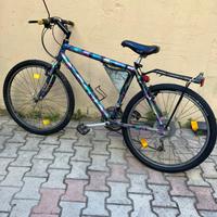 Bicicletta mountain bike