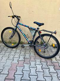 Bicicletta mountain bike