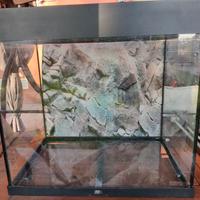 Acquario Lido  120 con filtro tetratec ex800 plus