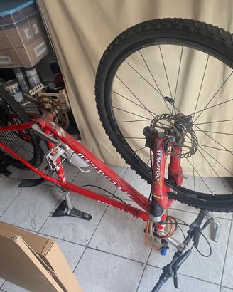Bicicletta Specialized