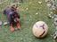 Immagine 6