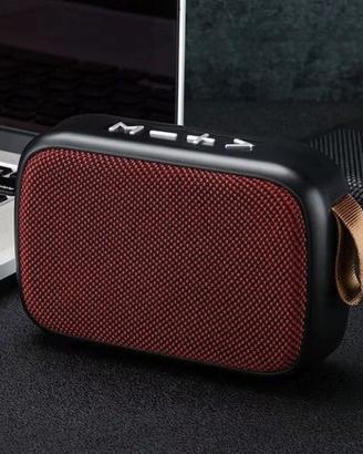Altoparlante Wireless Portatile Esterno