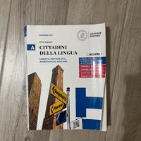 Libro di grammatica