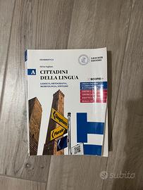 Libro di grammatica