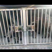 Gabbia cani