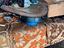 Immagine 2