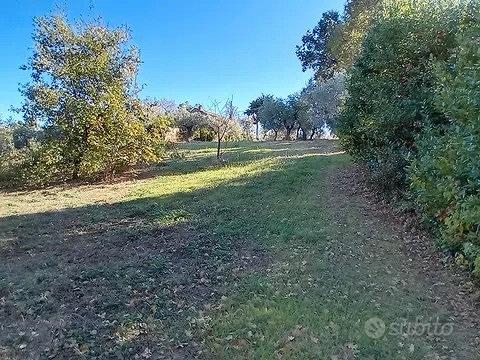 Terreno agricolo - Vista 2