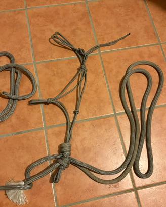 Hackmore (capezza+mecate)