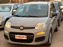 fiat-panda-1-2-easy-grigio-moda-da-neopatentati