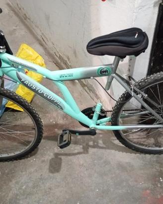 Mountain bike