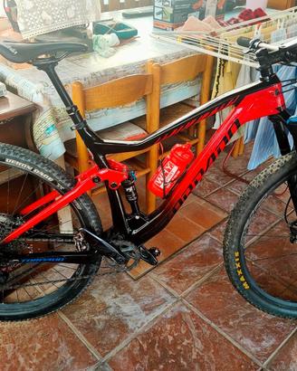 Torpado Impudent Matador Full Fox