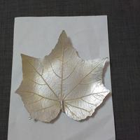 svuotatasche 